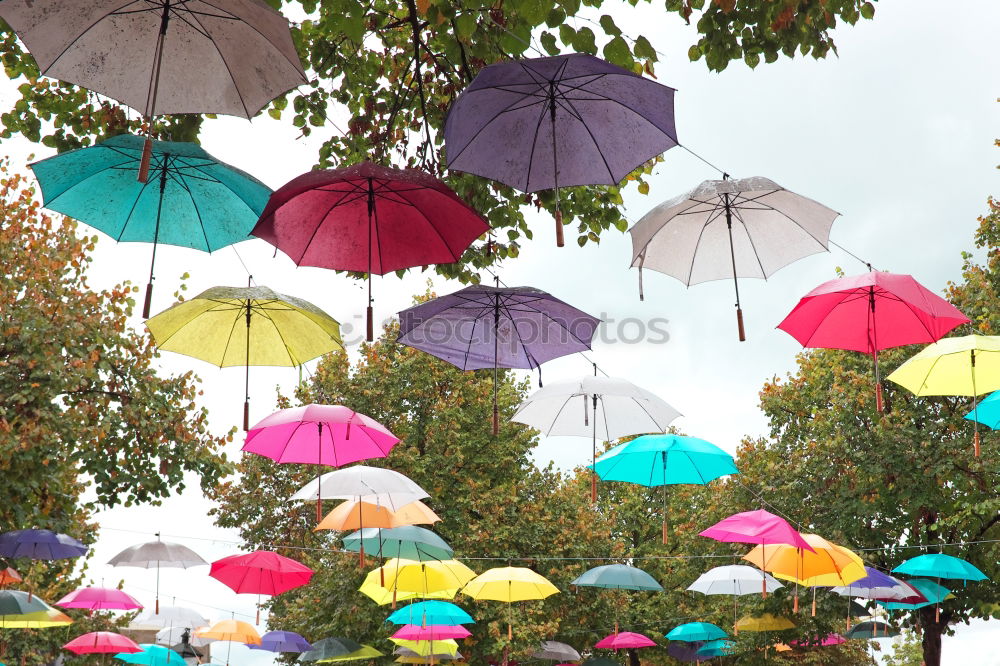 Similar – Flowered retro parasol