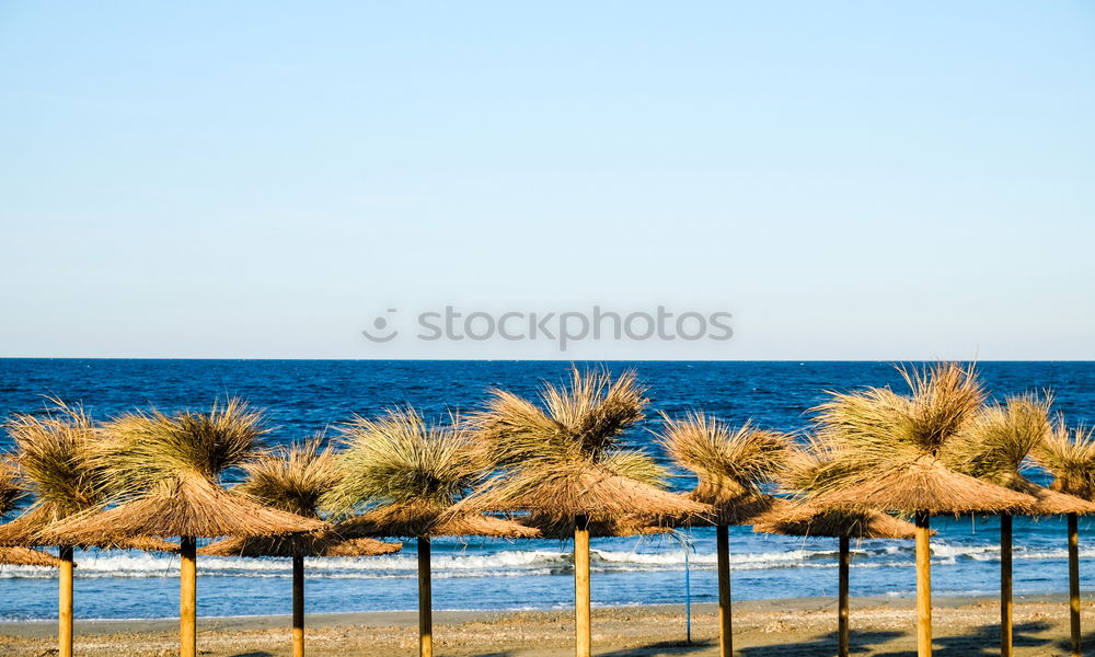 Similar – Image, Stock Photo Sunscreen?