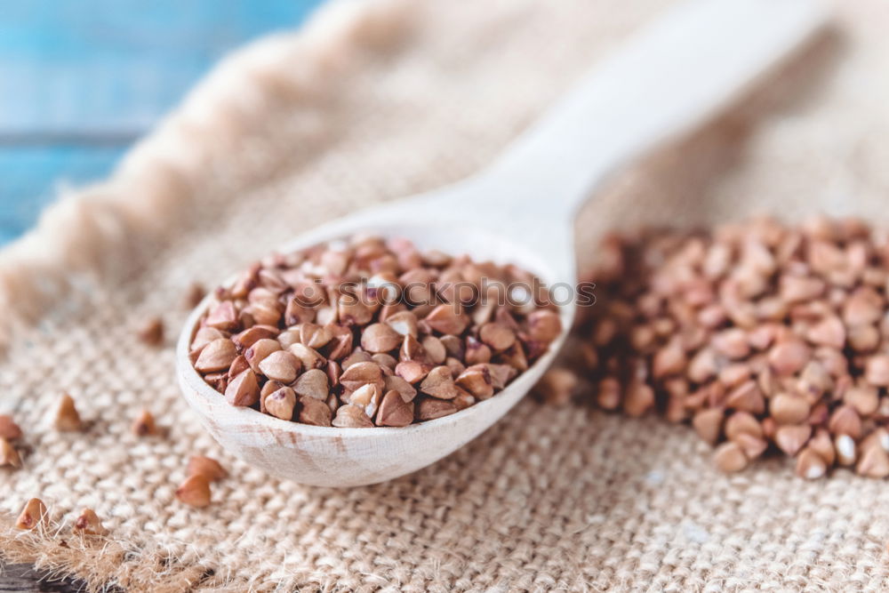 Similar – Image, Stock Photo peep Lentils plate lenses