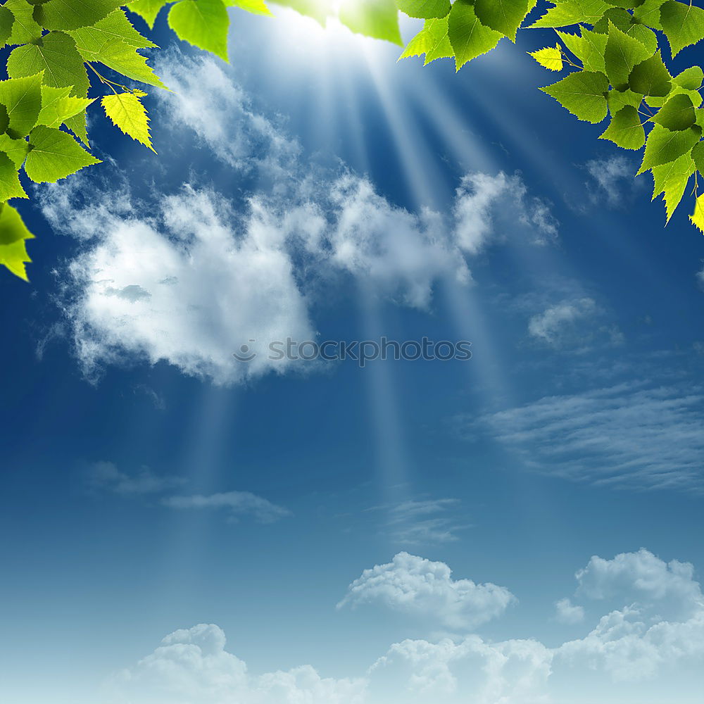 Image, Stock Photo greenscreen-ing Sun Nature