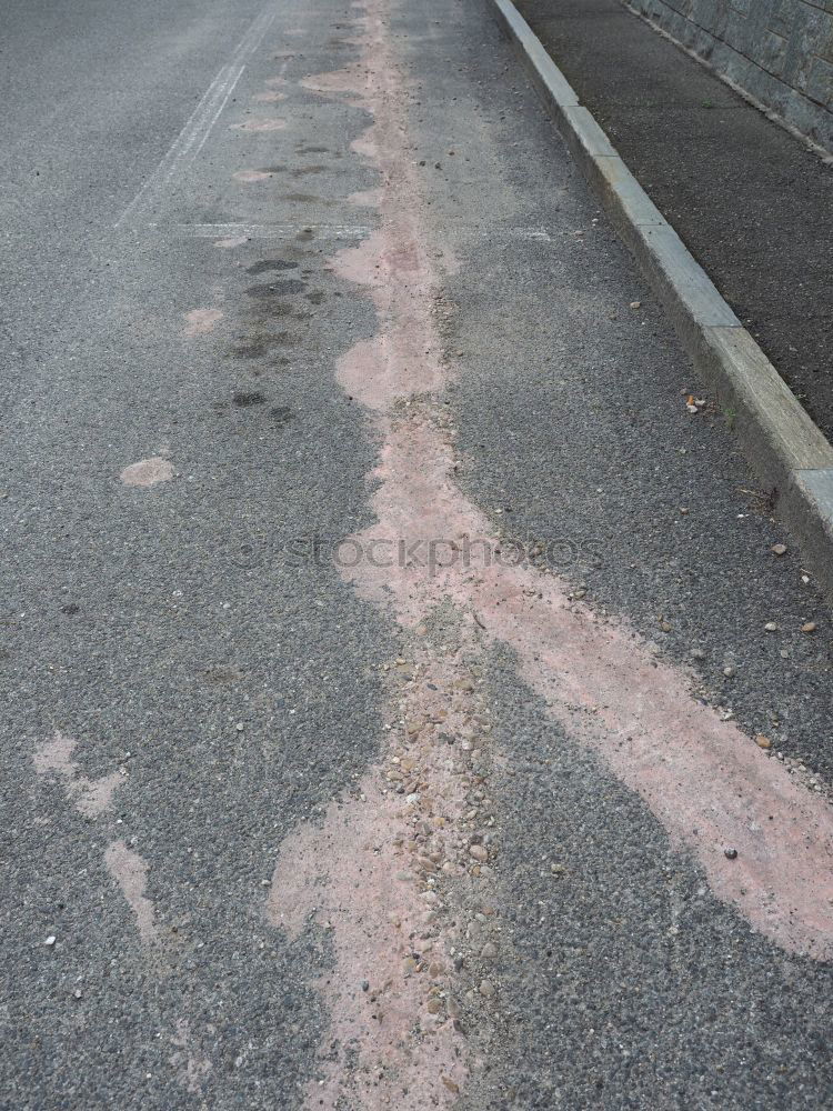 Similar – Foto Bild Der apokalyptische Reiter