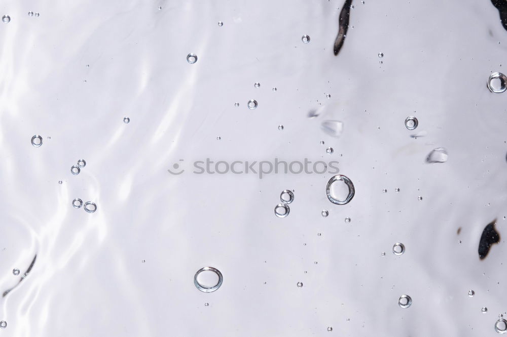 Similar – Image, Stock Photo veil Human being Feminine