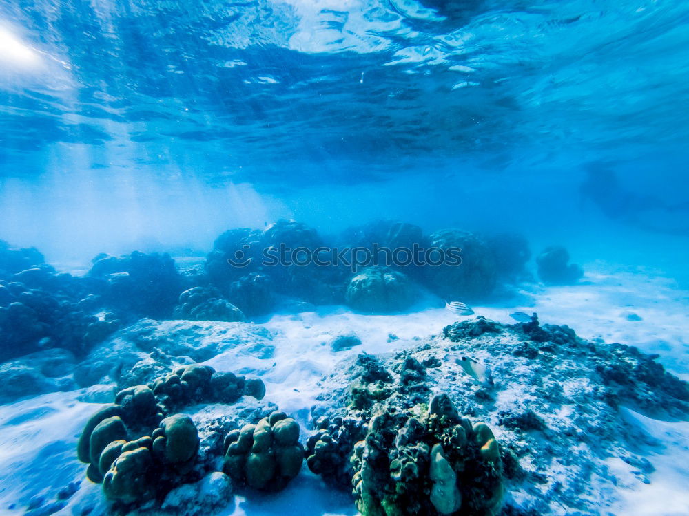 Similar – Bordgeschütz der Thistlegorm