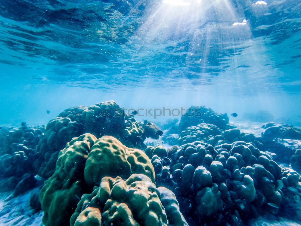 Similar – Foto Bild Wasser 2 tauchen