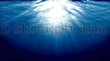 Similar – Image, Stock Photo Young woman diving in the sea