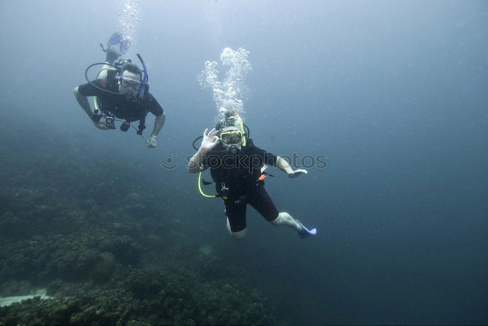 Similar – Diver with Bubbles tauchen