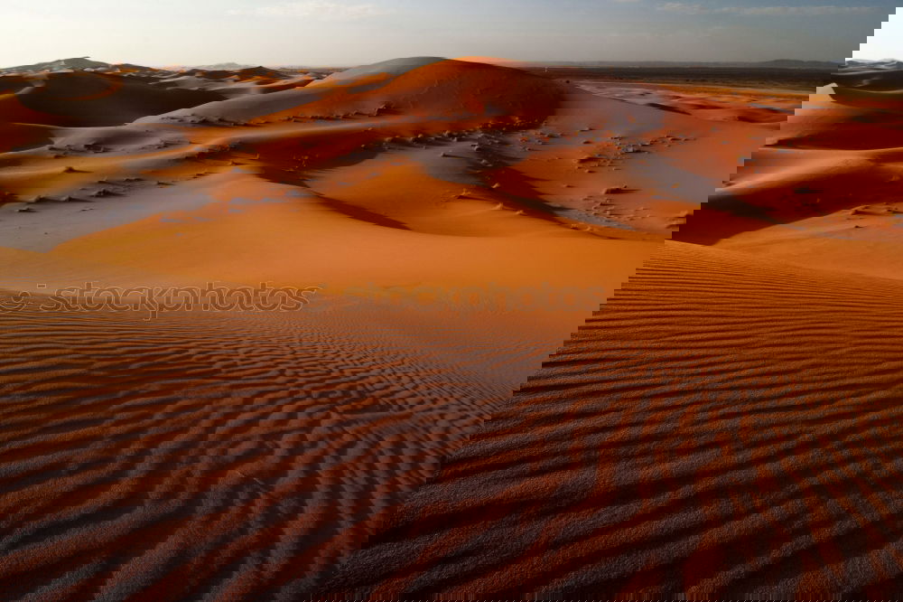 Similar – Image, Stock Photo in the morning in the Sahara