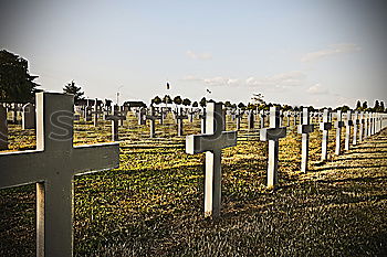 Similar – war graves France