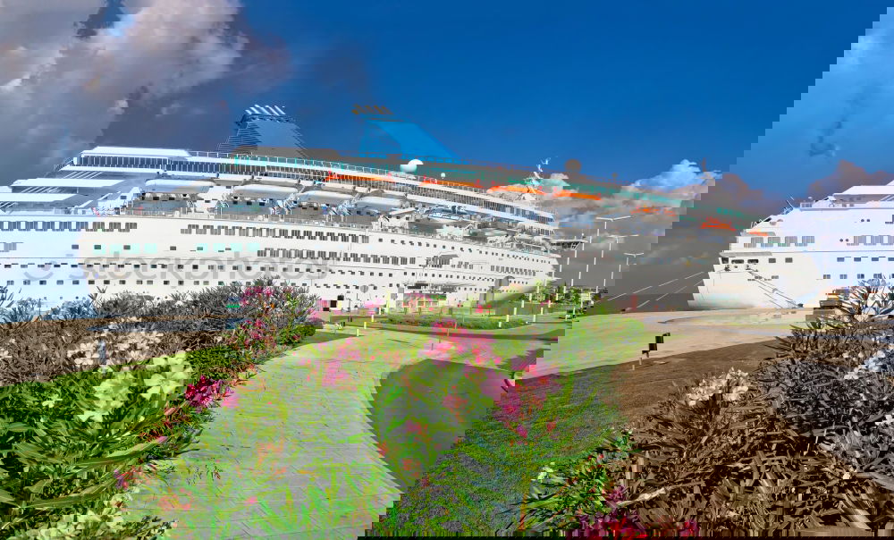 Similar – Image, Stock Photo Big white cruise ship. Synny day.