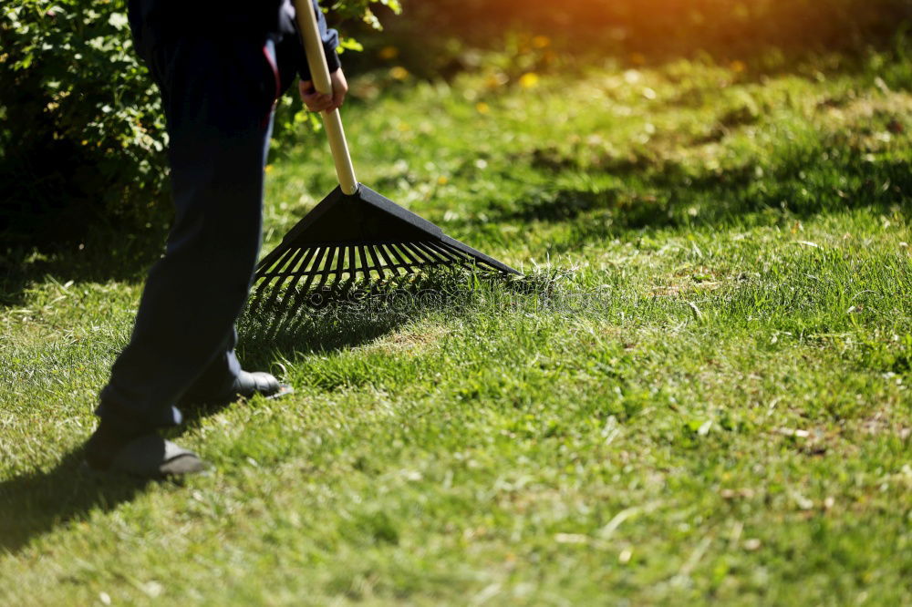 Similar – Image, Stock Photo seasonal worker