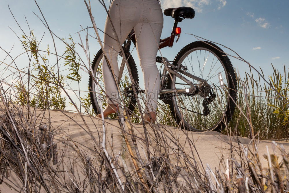 Similar – Cyclist Riding the Bike at Sunset. Sport Concept.