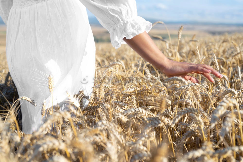 Similar – in nature Girl Dress Field