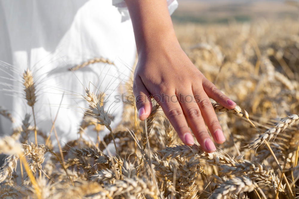 Similar – Image, Stock Photo Man hand holding a spike