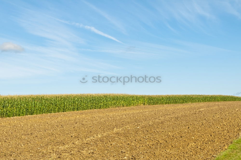 Foto Bild Unterwegs Autofahren