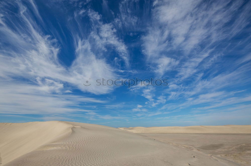 Similar – Image, Stock Photo Meeting point. Environment