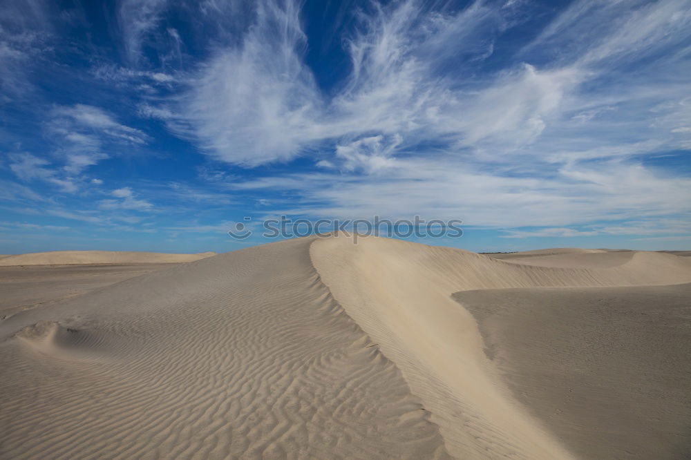 Similar – Nordsee St. Peter-Ording