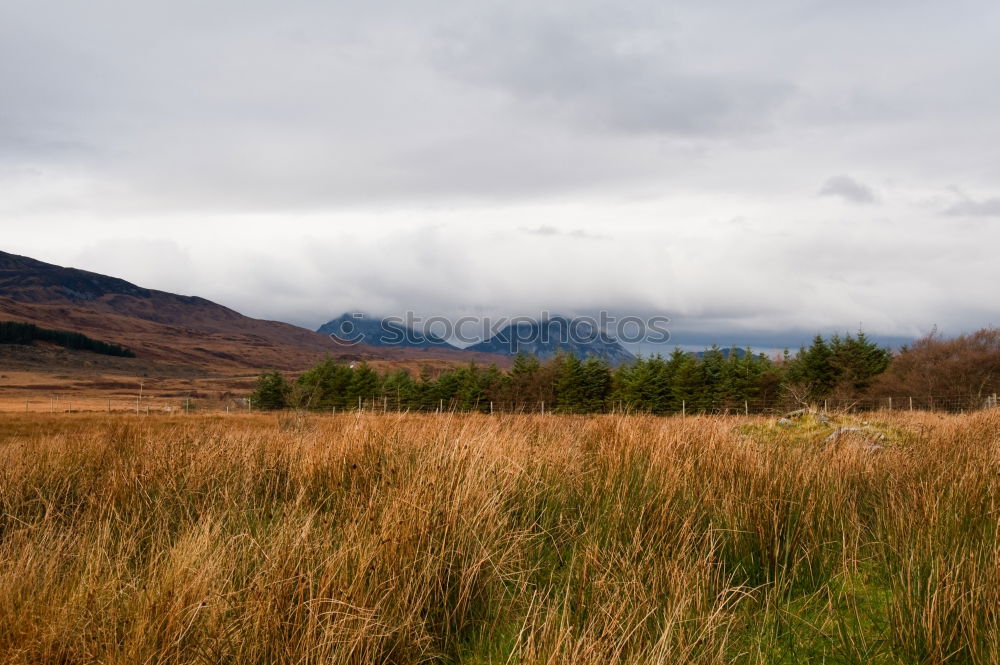 Similar – Fence on road in hills