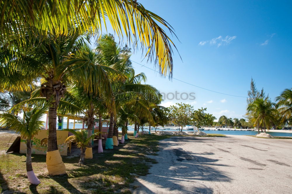 Similar – Image, Stock Photo Public transport on the roads of Cienfuegos