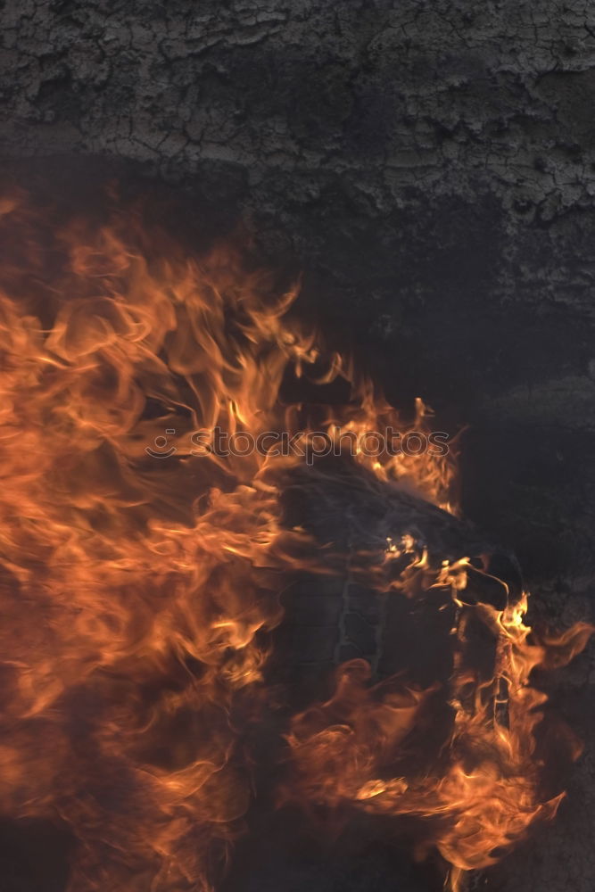 Similar – Image, Stock Photo Forest fire Agriculture