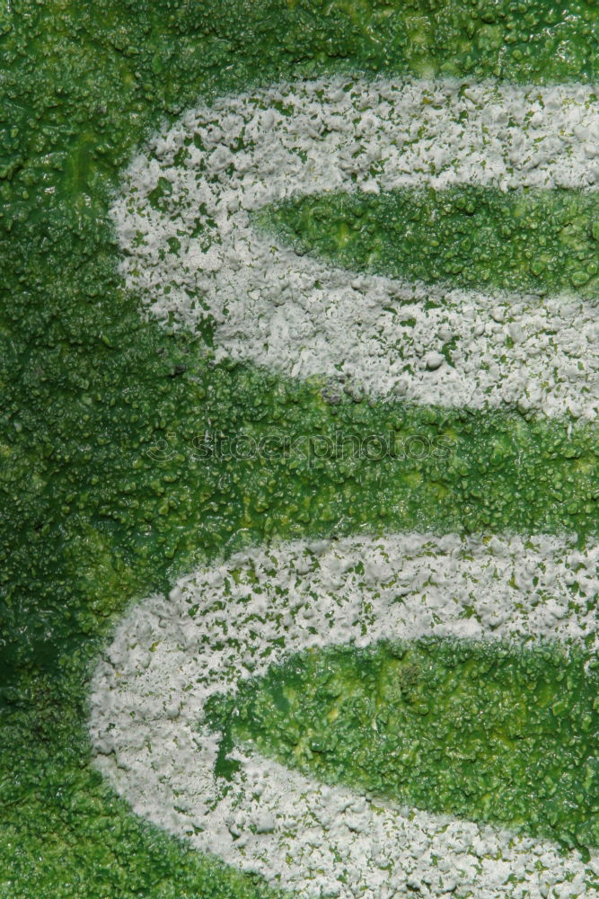 Similar – Image, Stock Photo “Hanged” Meadow Green