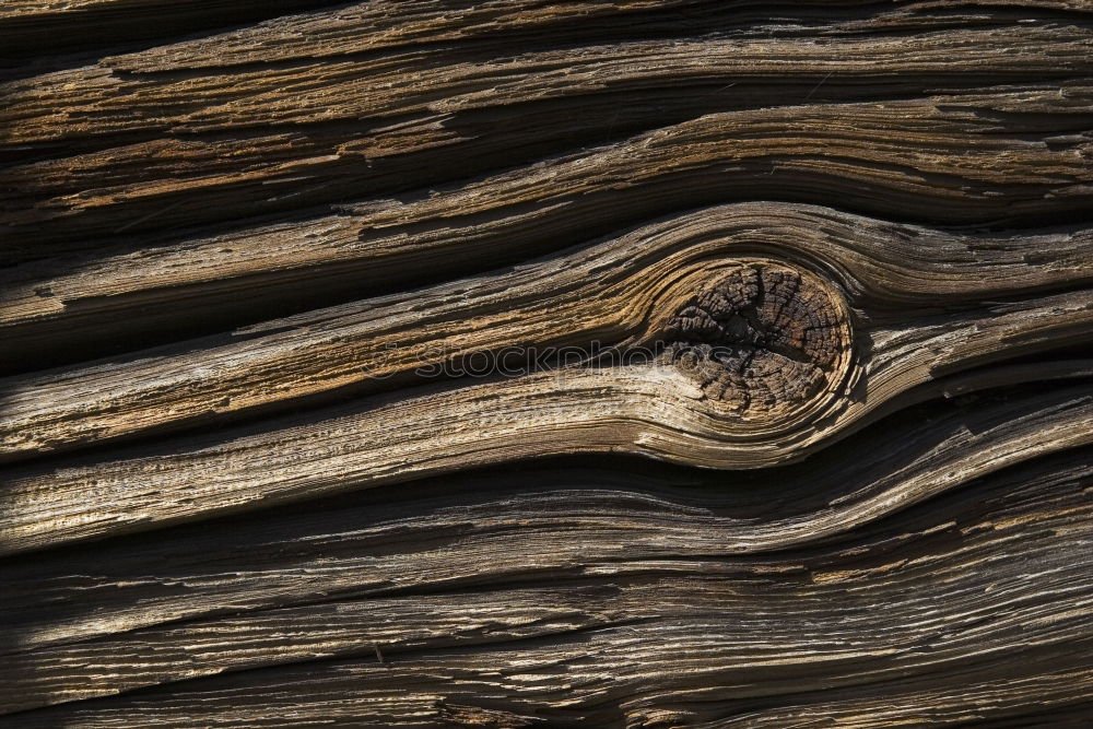 Image, Stock Photo Wood with history