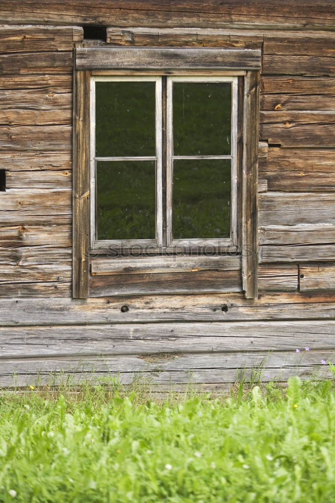 Similar – Foto Bild Märchen Natur Gras Wiese