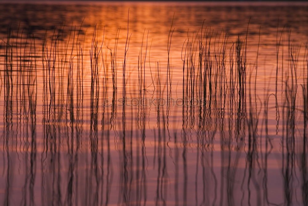 Similar – Image, Stock Photo The silhouette of Canoe at sunset