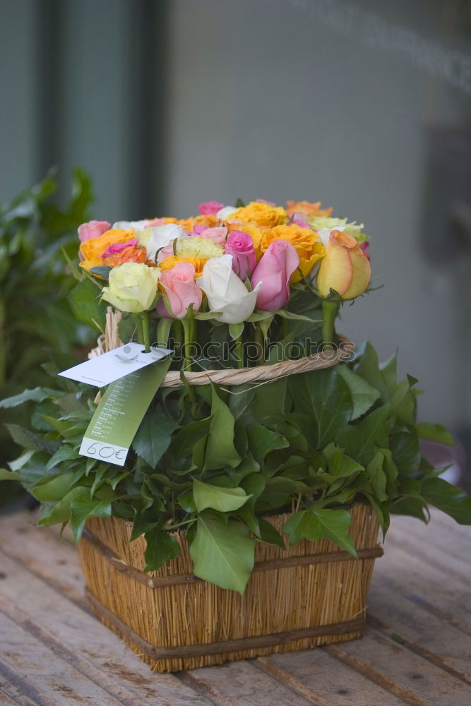 Similar – Image, Stock Photo flowers Wood Basket Flower