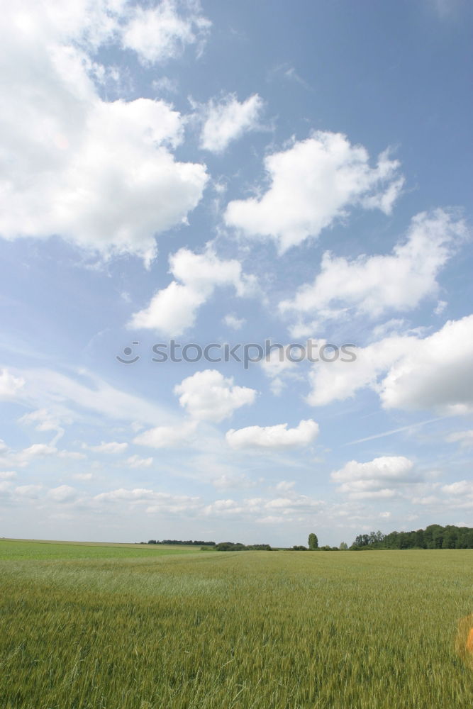 Similar – Image, Stock Photo Enjoying quiet days in DK.