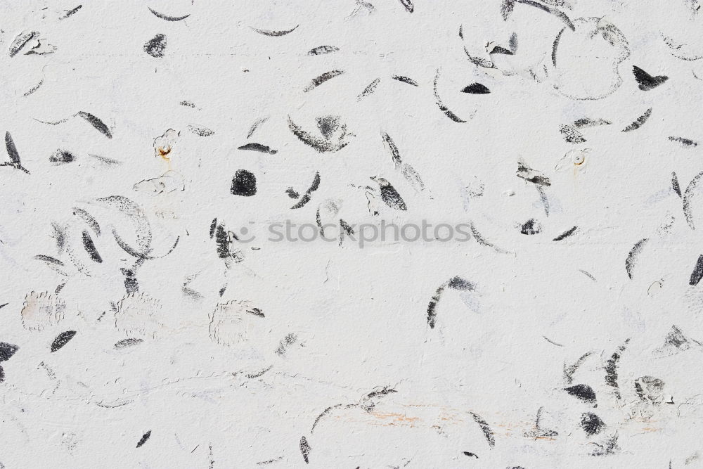 Similar – Image, Stock Photo passing fad Art