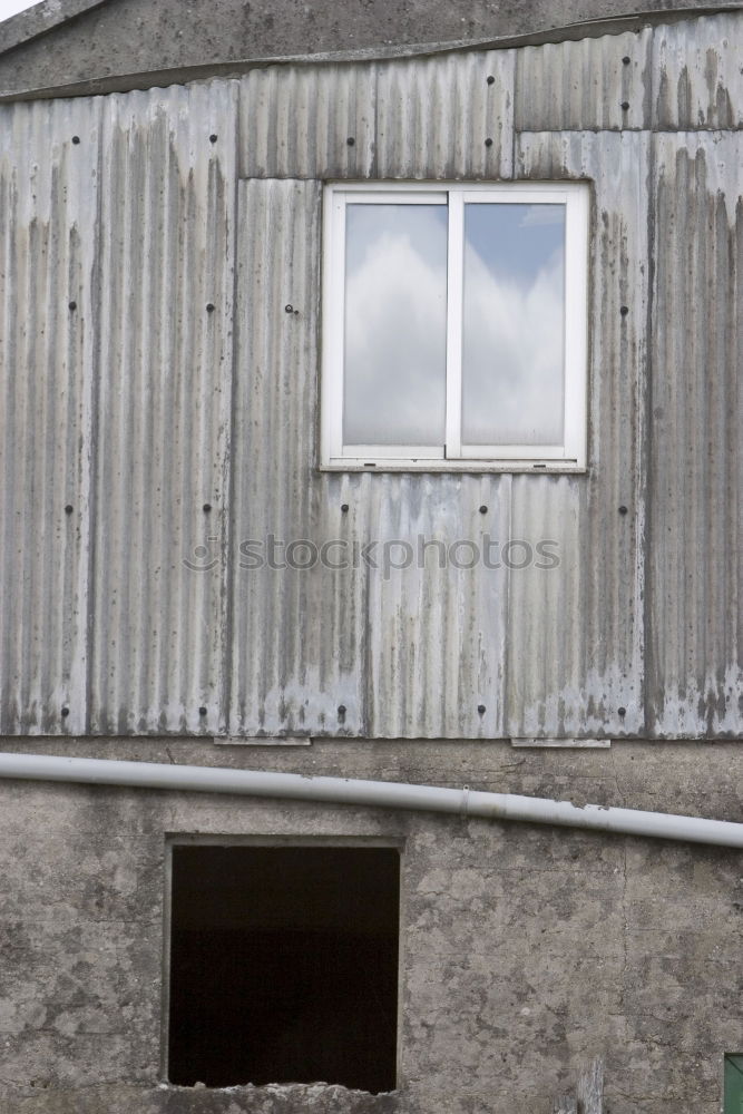 Image, Stock Photo lifeline Man Human being