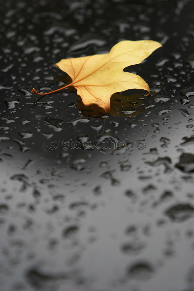 Similar – Image, Stock Photo The beautiful rainy day