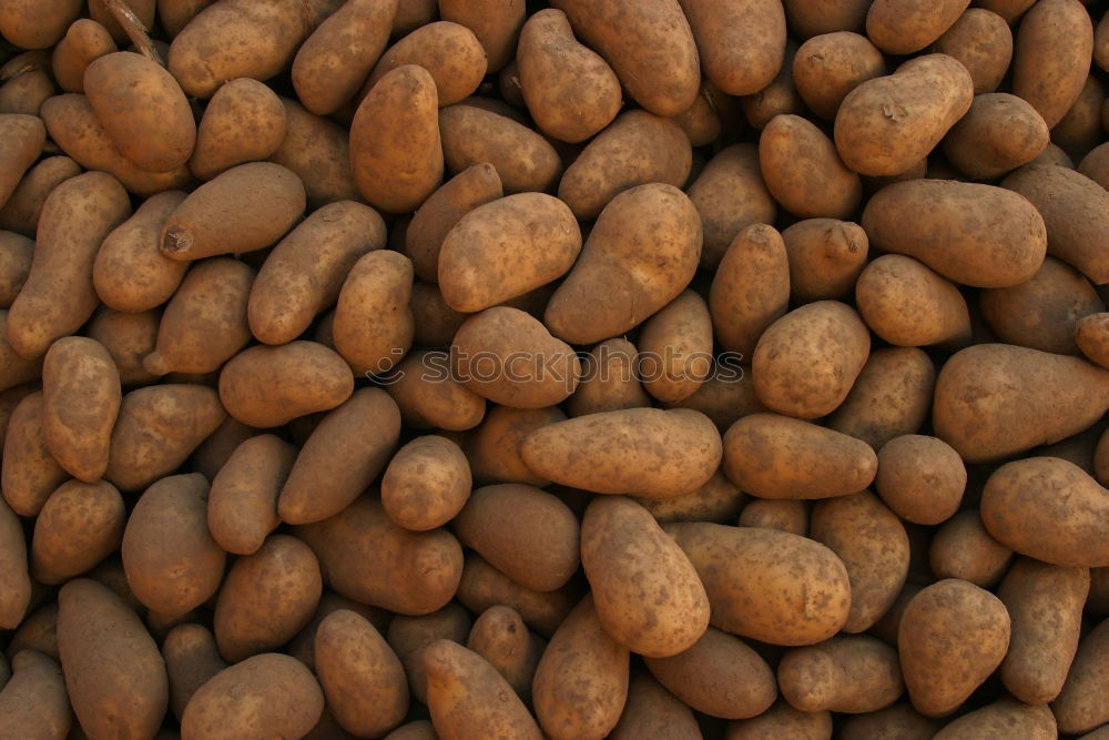 Similar – Image, Stock Photo #A# Nuts Food Nutrition