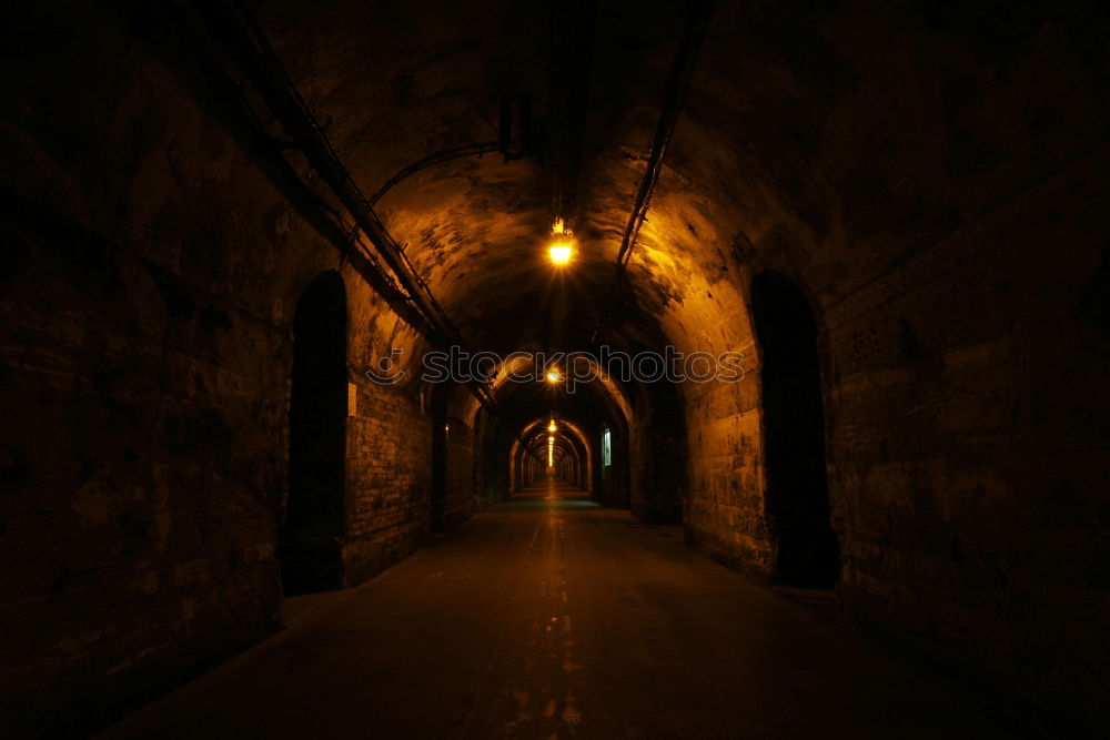 Similar – Image, Stock Photo Le Tunnelblick