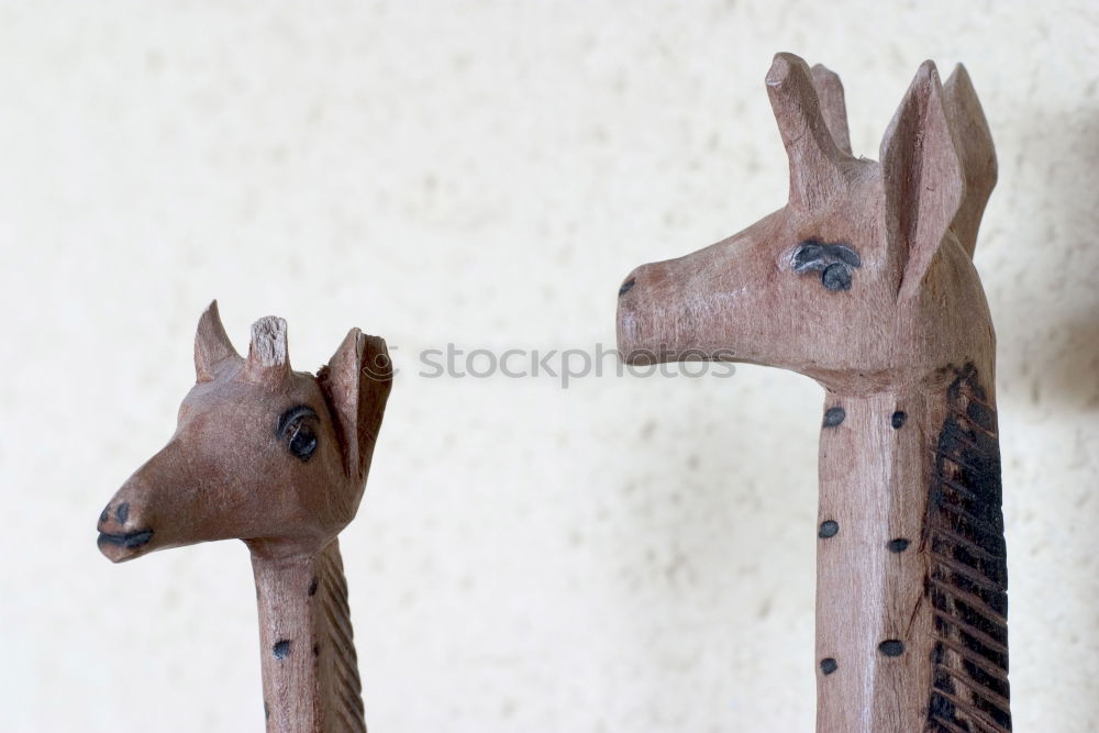 Similar – Image, Stock Photo tender feet Animal