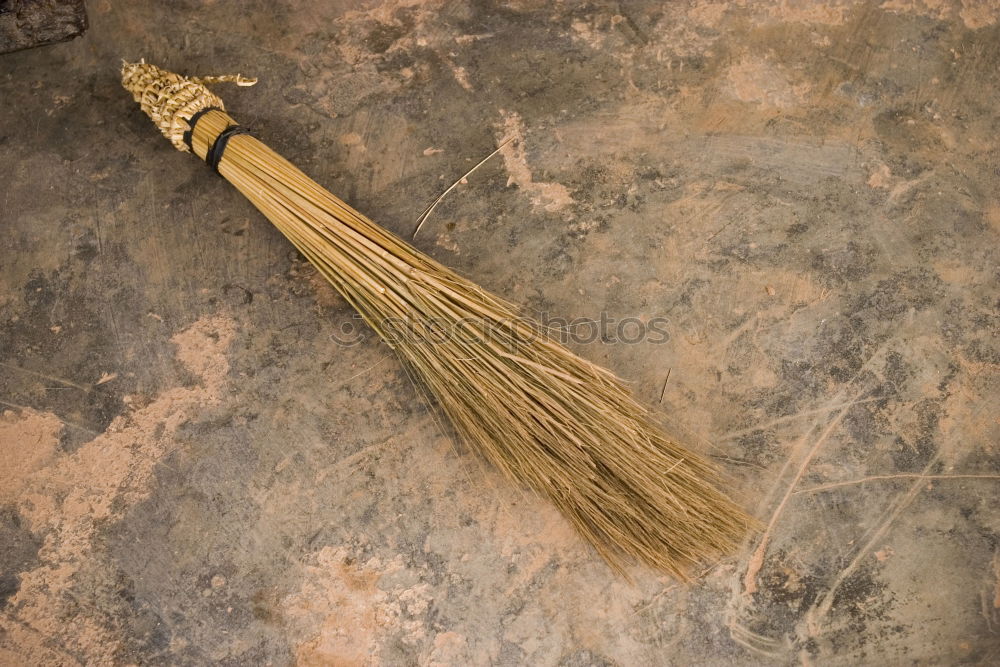 Similar – Image, Stock Photo New brooms sweep well