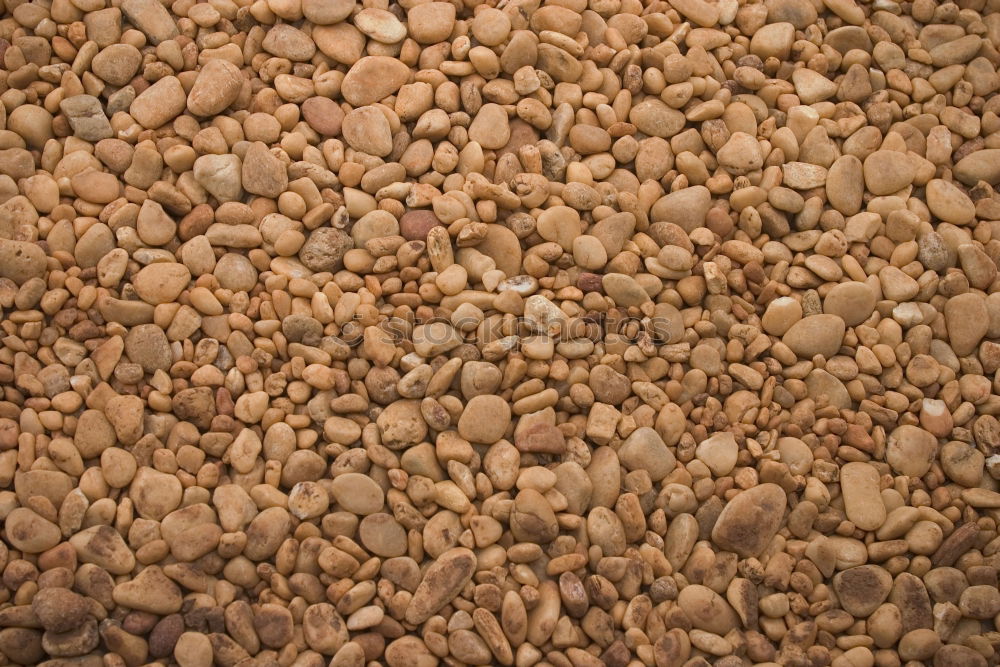 Similar – Image, Stock Photo #A# Nuts Food Nutrition