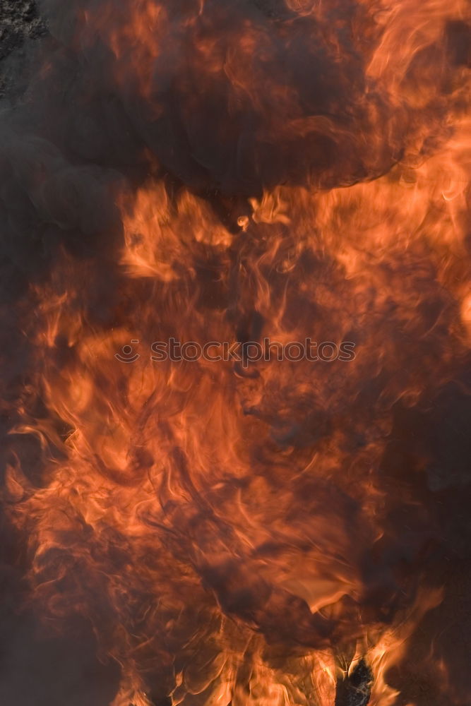 Similar – Image, Stock Photo Forest fire