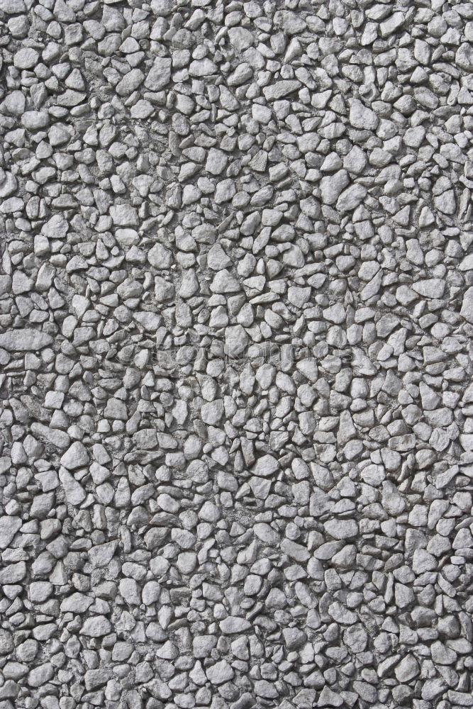 Similar – Foto Bild Mauerblättchen Pflanze