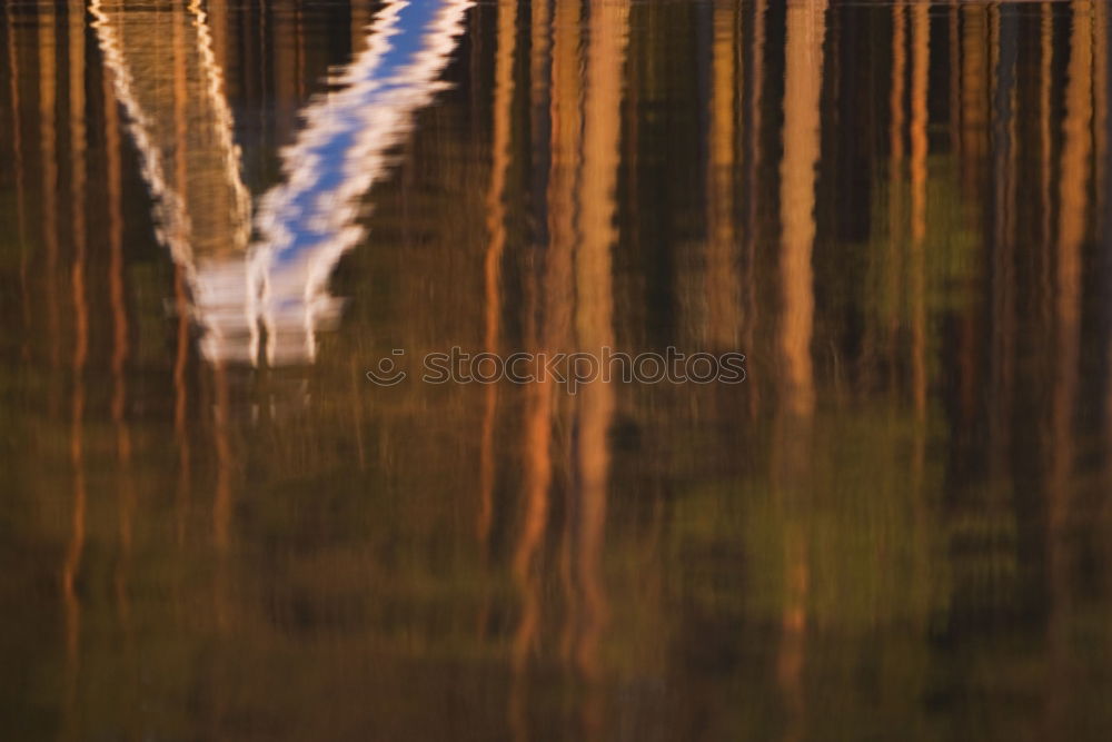 Similar – Foto Bild Briesetal Wald Baum