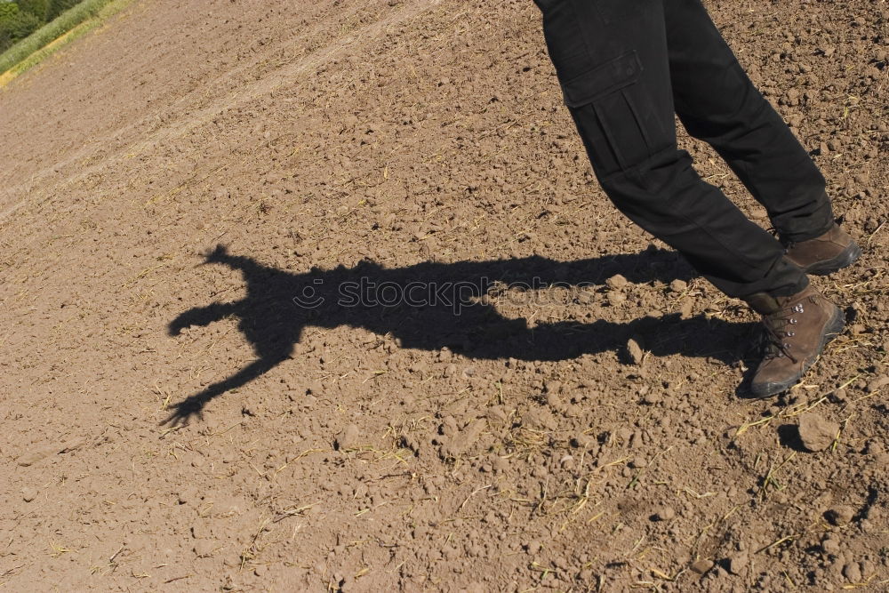 Image, Stock Photo curro Hiking Field