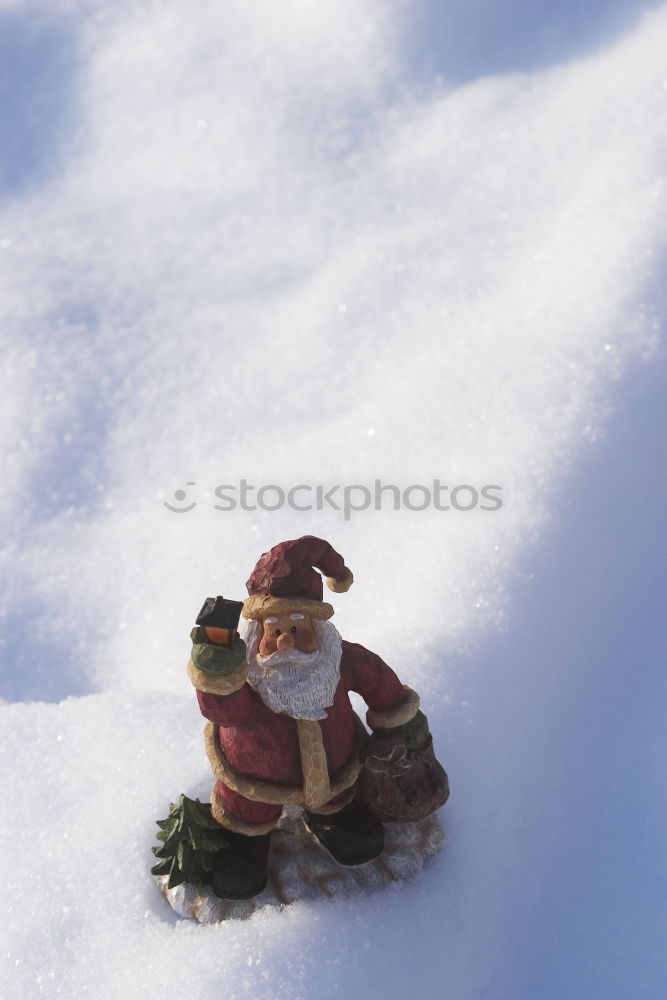 Similar – Image, Stock Photo sunbathe Meadow Grass