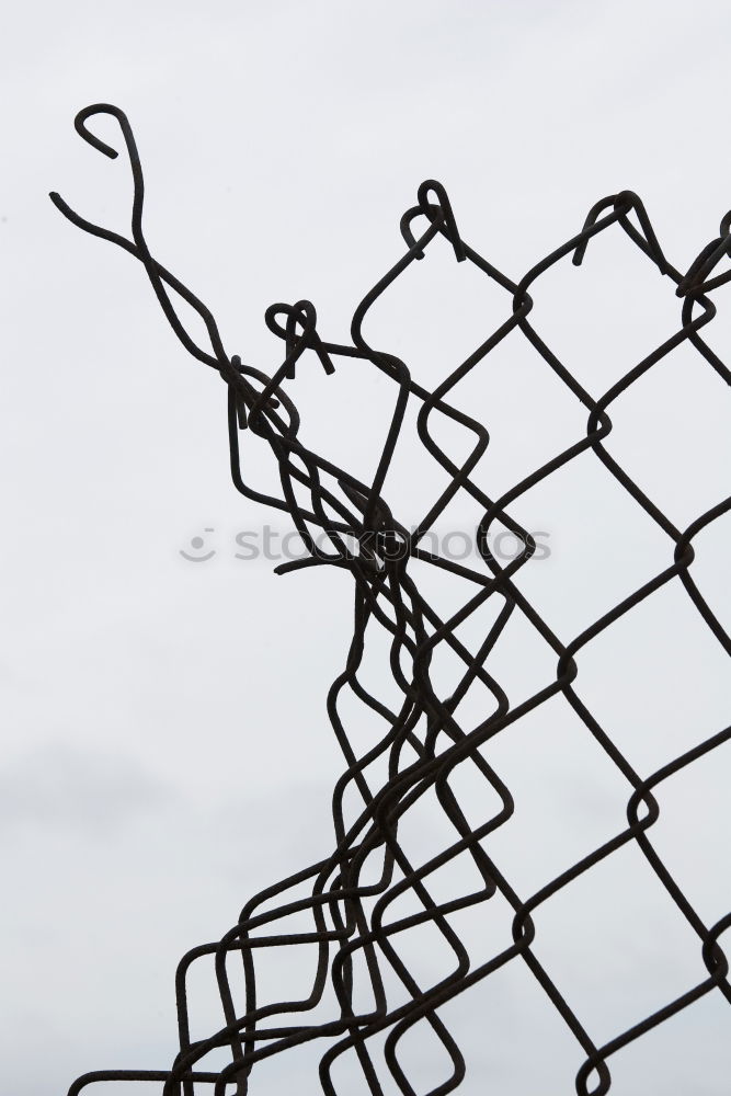 Similar – behind barbed wire