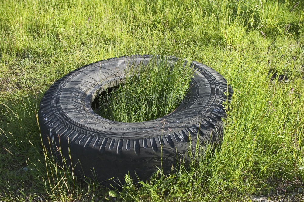 Vergessen Umwelt Natur