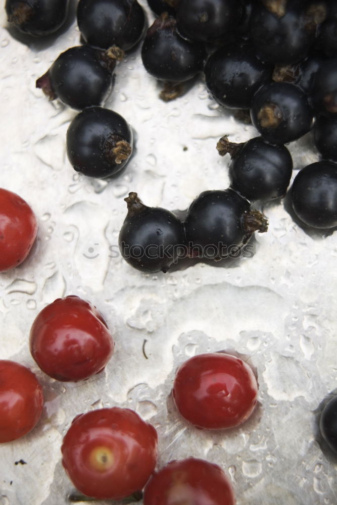 Similar – Image, Stock Photo want cherry Fruit Cherry