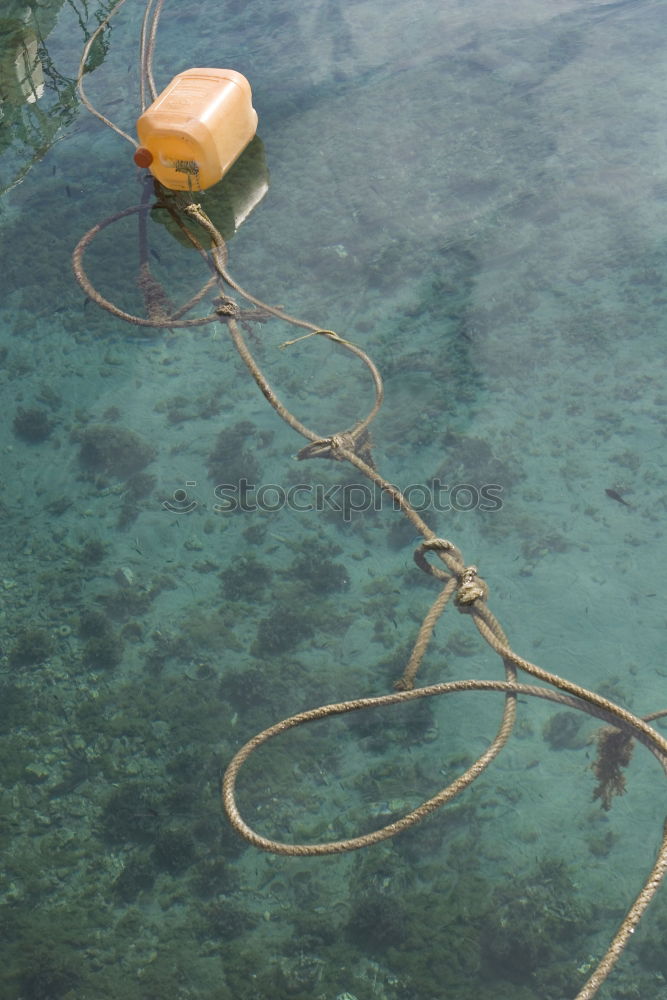 Similar – netze Küste Seeufer Meer