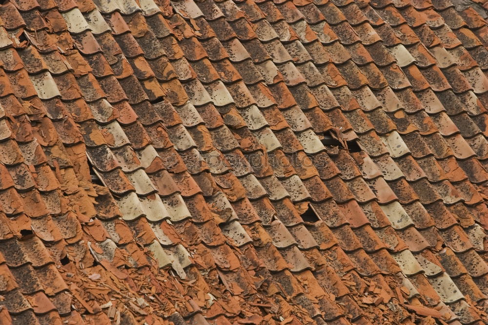 Similar – Roofs, roofs, gables, old town of Quedlinburg