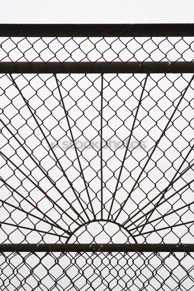 Similar – barbed wire Barbed wire