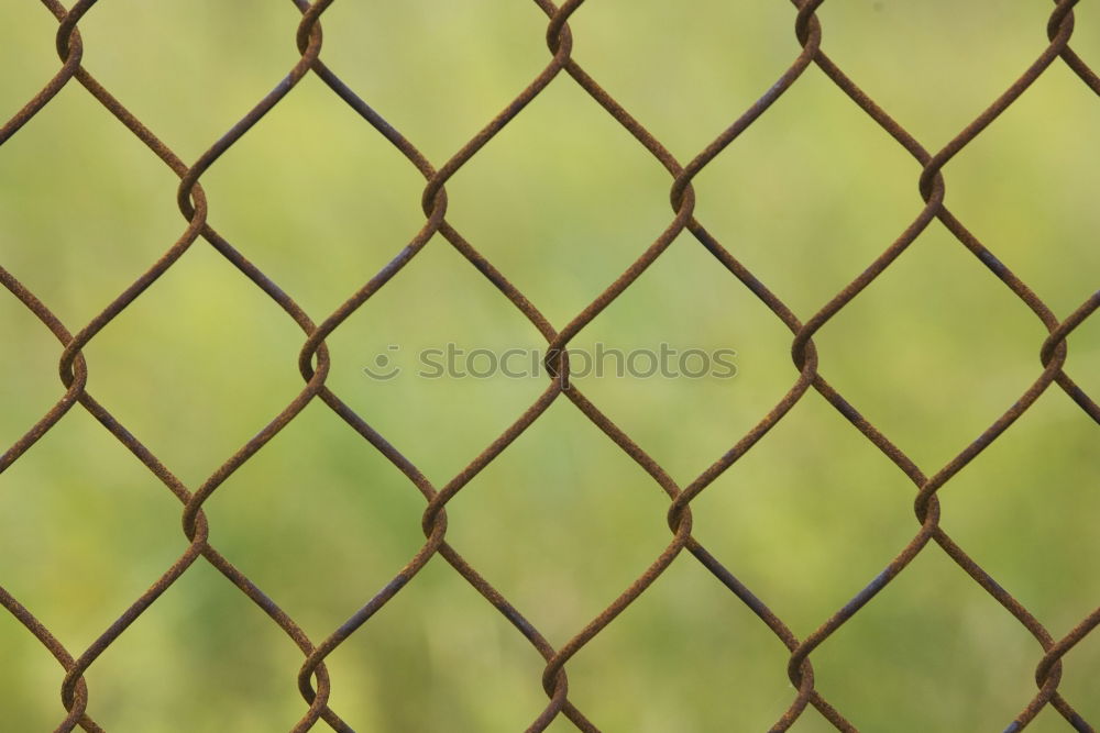 Similar – Fence and its shadow