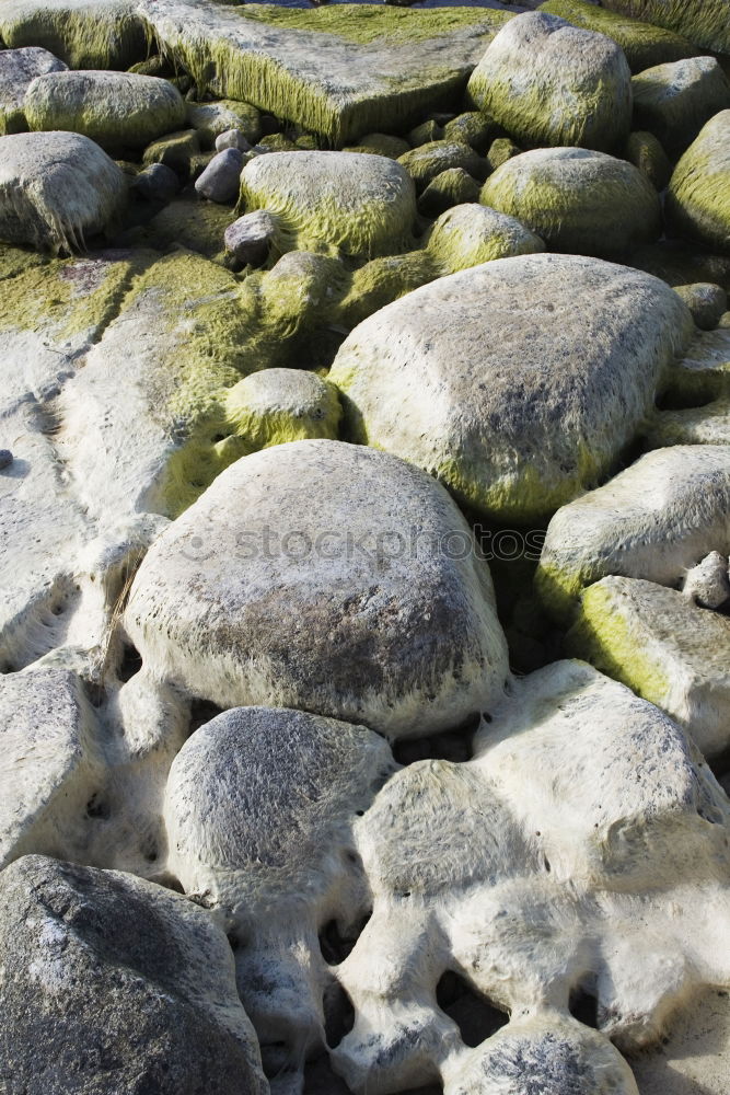 Similar – stone Beach Tenerife